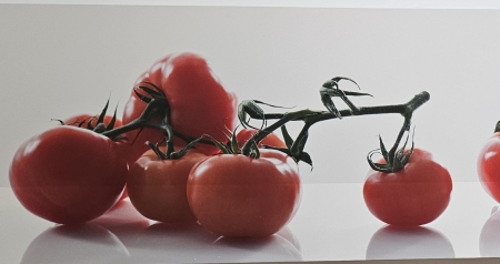 Nischenverkleidung mit Motivdruck